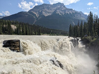 Athabaska Falls
