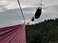 Hammock's in the air!
