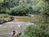 Rio Claro
