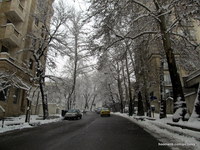 Snow in Tehran
