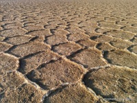 The desert (one form of it)
