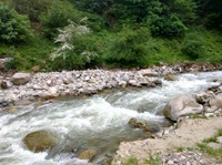 Kelardasht River in Spring
