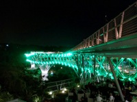 Nature Bridge at Night
