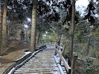 Taleghani Park, Tehran
