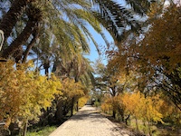 Golshan Garden, Tabas
