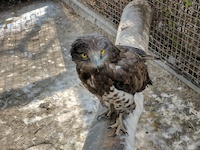 Pardisan Wildlife Park
