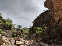 Trail to Shevi Falls
