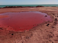 Red sand of Hormuz
