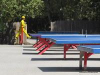 A city working having fun in the park
