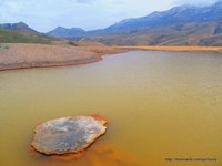 The water in the ponds was salty
