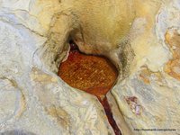 A smaller spring had sour carbonated water
