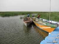 Shadegan International Lagoon
