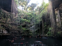 Cenote Ik Kil

