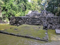 Calakmul
