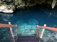Akumal Natura Cenote
