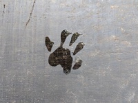 Sian Ka'an Biosphere
