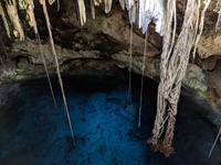 Cenote Cuzama
