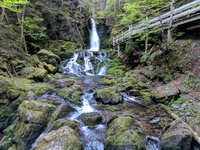 Fundy National Park
